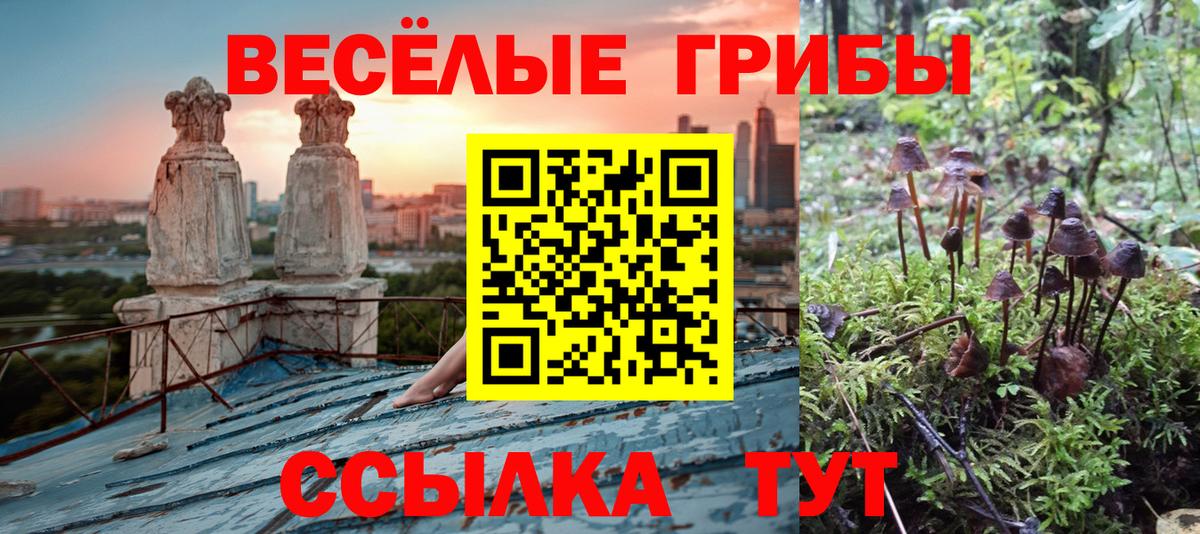 Галлюциногенные грибы Magic Shrooms  Галлюциногенные грибы мухоморы  Дедовск  Вход с VPN 